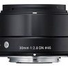 Sigma MFT 30mm F/2.8 zwart ART DN voor Panasonic G, Olympus MFT-0