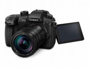 Panasonic Panasonic Lumix DMC-GH5 + Leica DG Vario-Elmarit 12-60mm ASPH Power OIS -4119