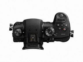 Panasonic Panasonic Lumix DMC-GH5 + Leica DG Vario-Elmarit 12-60mm ASPH Power OIS -4118