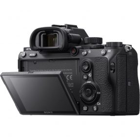 Sony A7 mark III + 24-70mm F/4.0 OSS ZEISS-6032