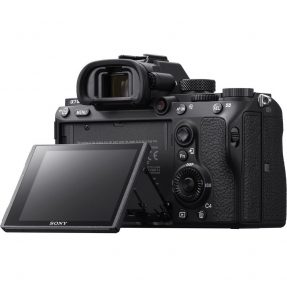 Sony A7 mark III + 24-70mm F/4.0 OSS ZEISS-6033