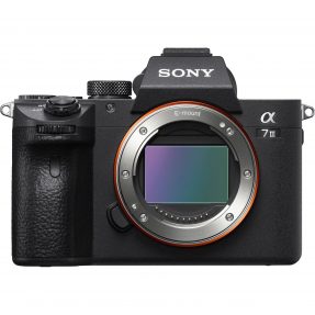 Sony A7 mark III + 24-70mm F/4.0 OSS ZEISS-6037
