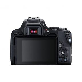 Canon EOS 250D zwart + 18-55mm iS STM COMPACT + EF 50mm F/1.8 STM