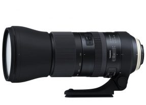 Tamron SP 150-600mm f/5.0-6.3 Di VC USD G2 Nikon-6272