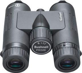 Bushnell Prime 8×32 black roof prism